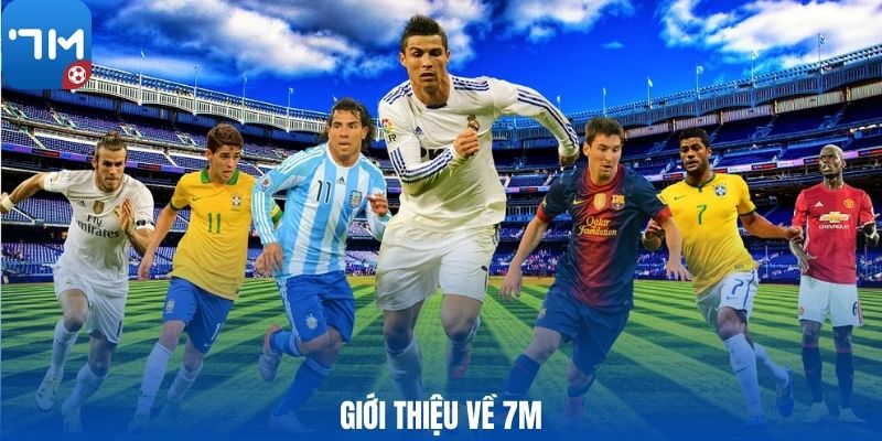 Giới thiệu về 7M