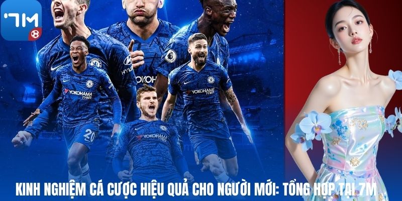 Kinh Nghiệm Cá Cược Hiệu Quả Cho Người Mới: Tổng Hợp Tại 7M